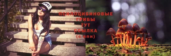 2c-b Магадан