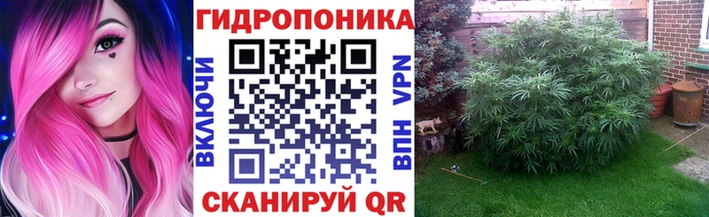 хочу   Чадан  МАРИХУАНА тримм 